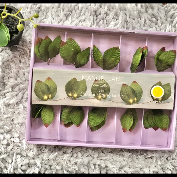 🆕New with tag LEAF STRING LIGHTS 30 lights 10ft - Picture 3 of 7